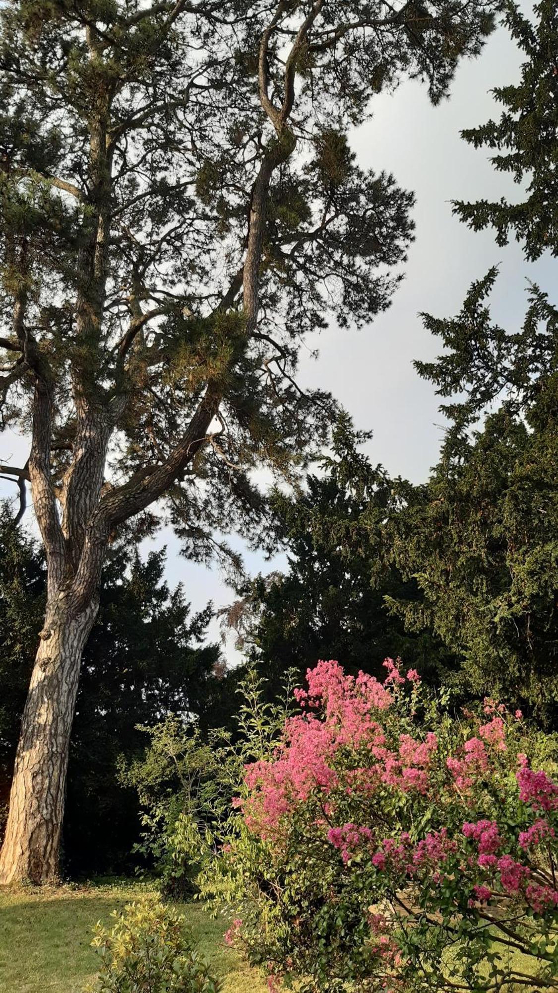 La Heraudiere Bed & Breakfast Tours Dış mekan fotoğraf