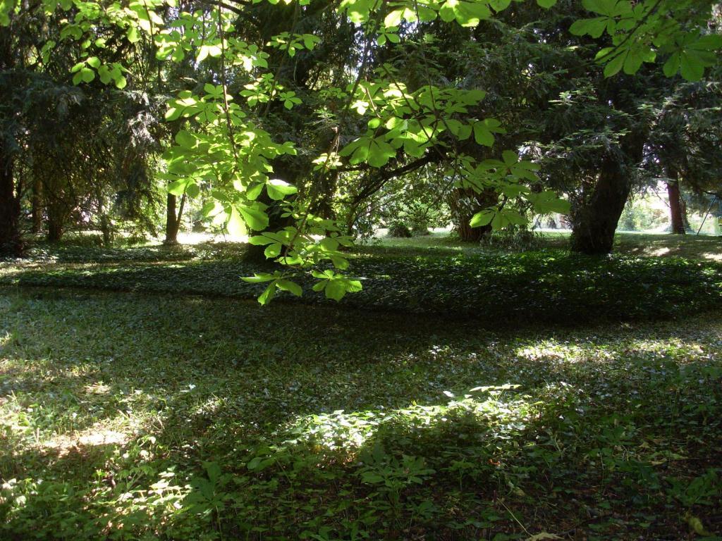 La Heraudiere Bed & Breakfast Tours Dış mekan fotoğraf